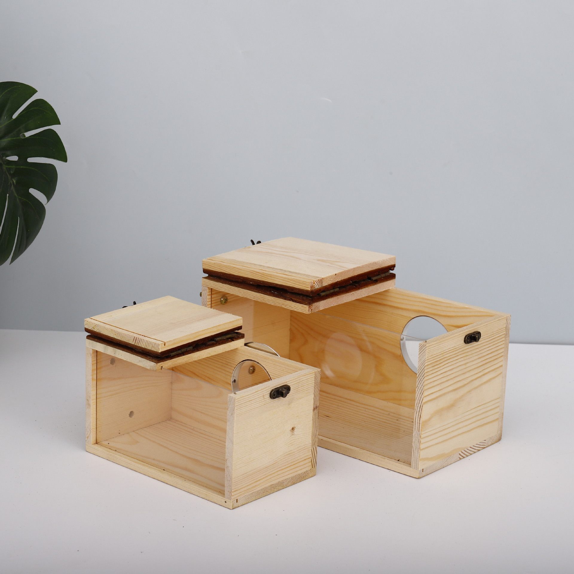 木质透明可视鸟窝鹦鹉繁殖箱户外树装饰木屋保温饲养箱鸟巢孵化箱