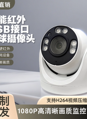 USB监控摄像头一体机 高清插卡出租屋物业监控海螺半球TF卡摄像头