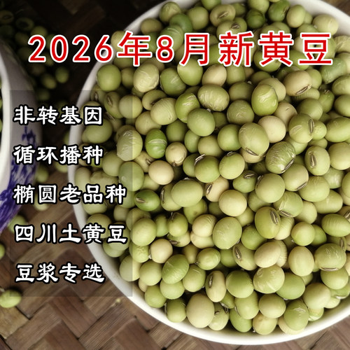 农家自种土黄豆老品种2026新豆非转基因四川本地绿皮黑脐打豆浆用