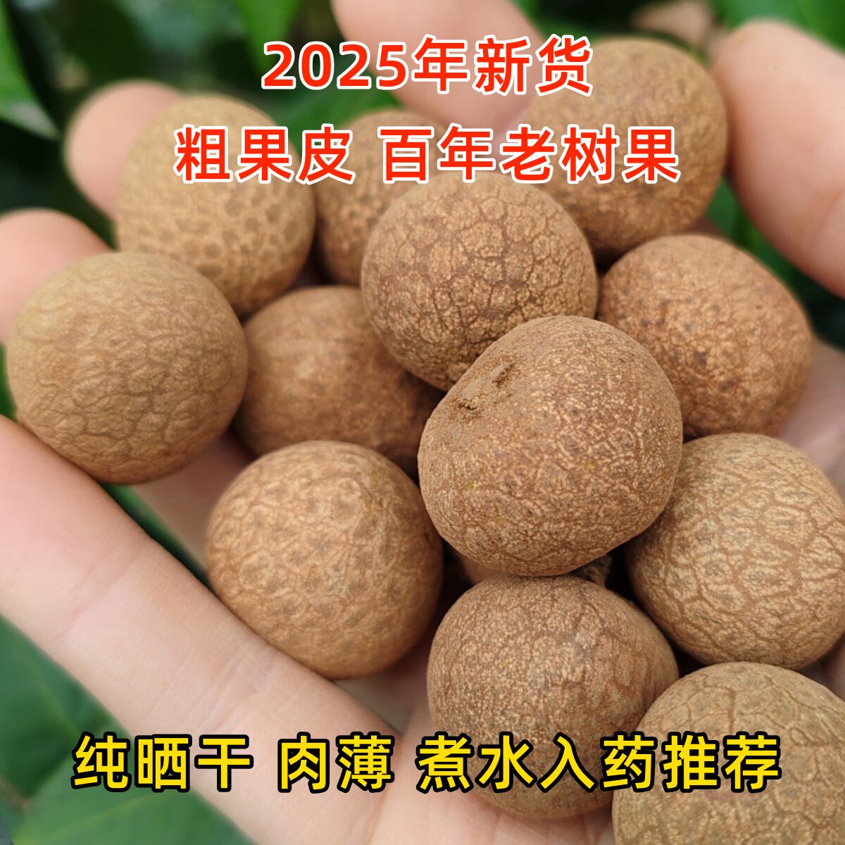 百年老树桂圆干老品种蜀冠晒干2025年泸州特产野生无硫泡水煮药用