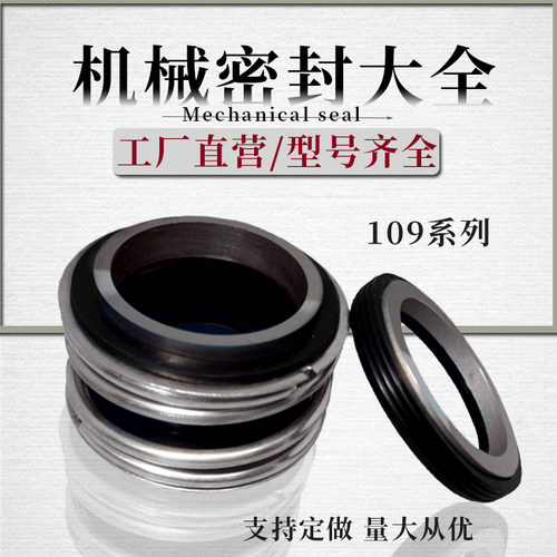 陶瓷氟胶碳化硅机械密封件