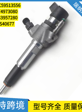 A2C59513556 9674973080 9683957280 9802448680喷油器5WS40677