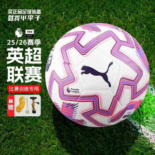 小李子彪马4号5号专用比赛足球