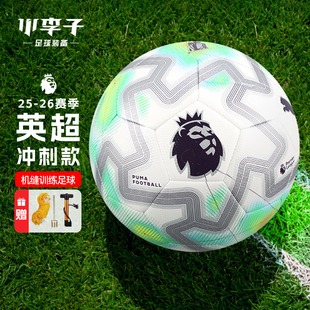 小李子彪马25-26赛季英超联赛决赛版4号5号机缝训练足球084716 01