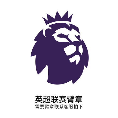 臂章阿森纳利物浦曼城曼联切尔西