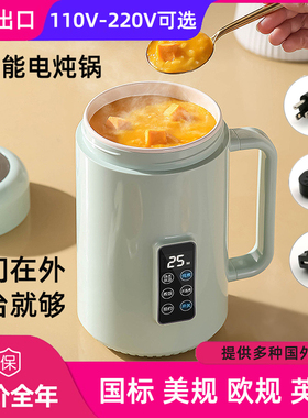 110V220V小型电炖锅美英规多功能养生壶煮粥锅便携式台湾用电炖杯