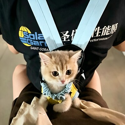 幼猫背心式社会化骑行背包