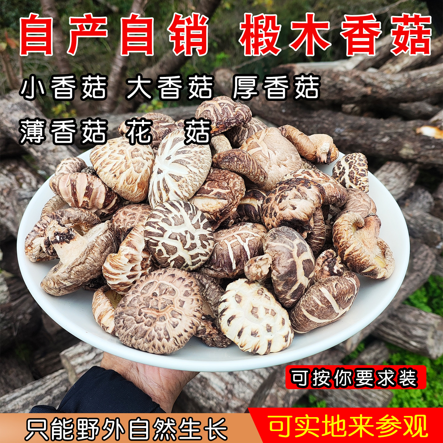青川椴木香菇野生级小香菇厚冬菇四川花菇薄片新鲜特干货深山特产