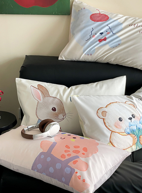 在耳边卡通全棉贡缎50s长绒棉枕套纯棉48*74cm一对 信封式枕头套