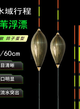 20CM芦苇漂鸽子蛋型60CM行程浮漂