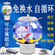 小型鱼缸带氧气泵客厅家用桌面圆形玻璃加热鱼缸过滤器制氧一体机