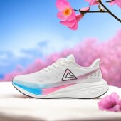 男鞋 匹克态极风速2.0跑步鞋 通勤低帮跑步鞋 运动鞋 男款 减震慢跑鞋