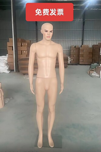 男模特女全身人体模特服装店假人