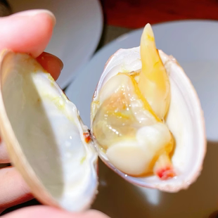 丹东特产大黄蚬子 保鲜全黄鲜活已去沙 非花甲  包顺丰