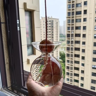 欧式牛油果水培花瓶牛油果核种子种植瓶水养透明玻璃瓶容器专用瓶