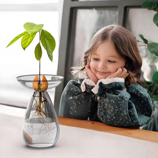 牛油果水培花瓶牛油果核种子水养容器玻璃器皿植物水培专用花瓶盆