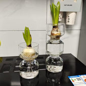 欧式 风信子水培花瓶透明玻璃水培器皿风信子郁金香种球水培玻璃瓶