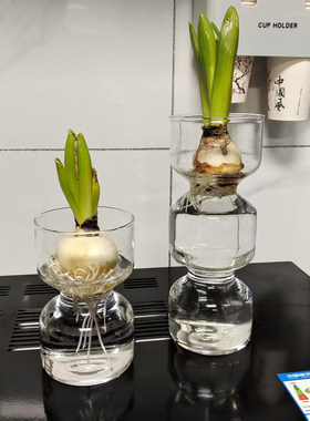 风信子水培花瓶透明玻璃器皿