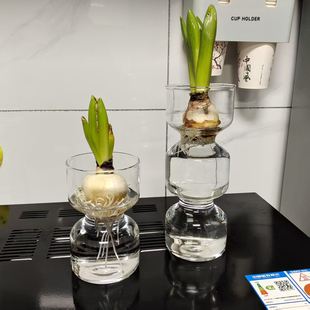 欧式风信子水培花瓶透明玻璃水培器皿风信子郁金香种球水培玻璃瓶