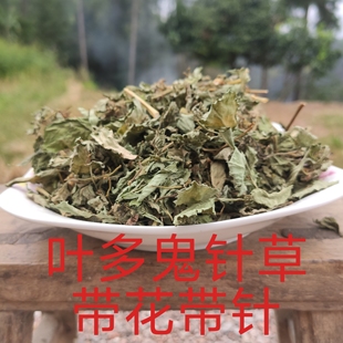 野生鬼针草粘粘草茶贵州农家自采多叶少杆带针花500克包邮