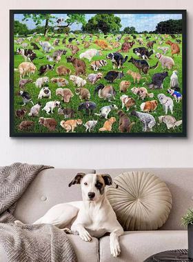 101 pooping puppies 101只狗狗便便拼图1000片小狗拉屎异形趣猫
