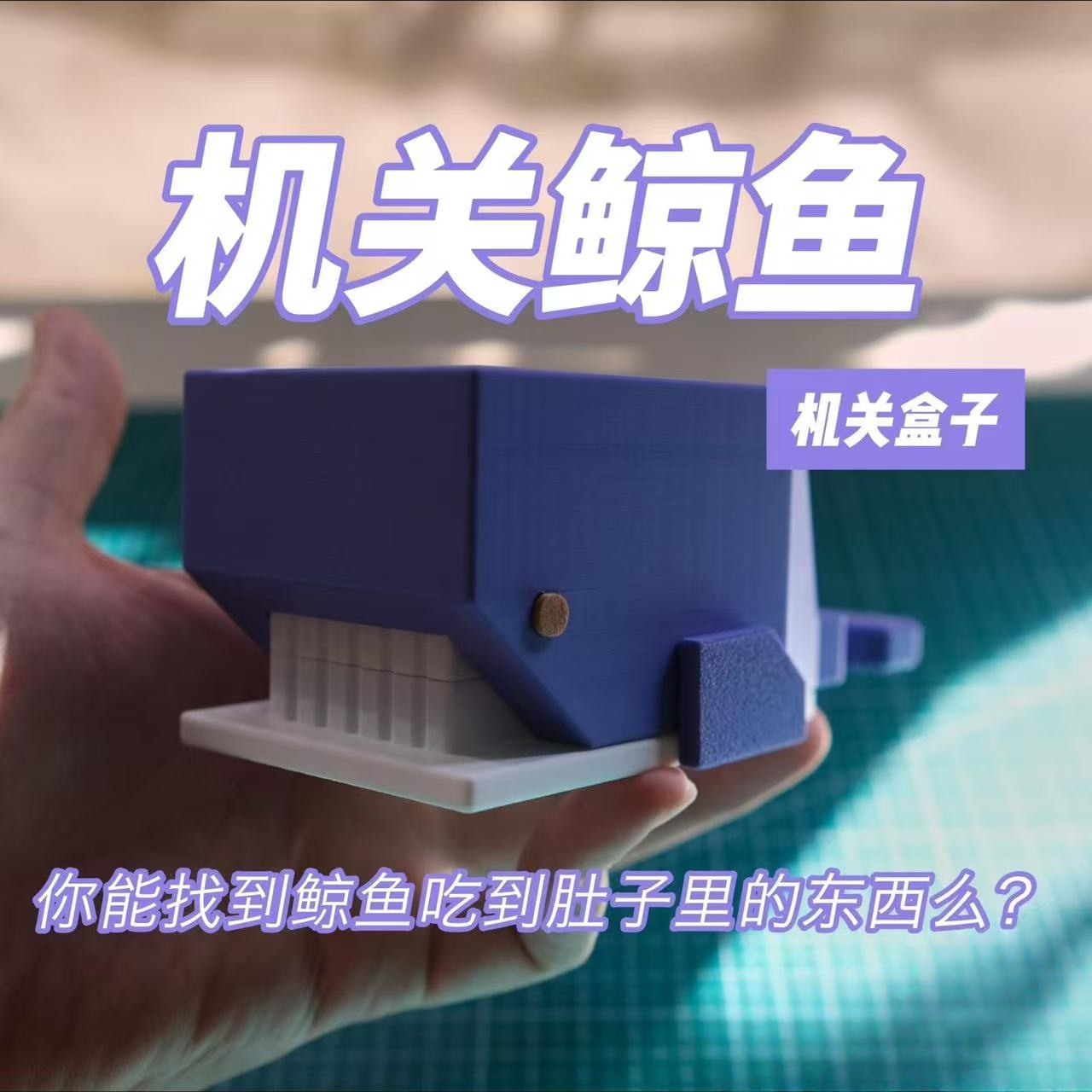 机关鲸鱼puzzle十级难度谜题小鲸鱼的盒子可装礼物收纳玩具初级者