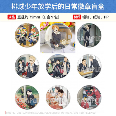 有货日本正版 排球少年 放学后的日常 大徽章吧唧盲盒 周边谷子