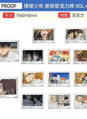 PROOF 排球少年 TV场面写 迷你亚克力砖 Vol.4　周边谷子
