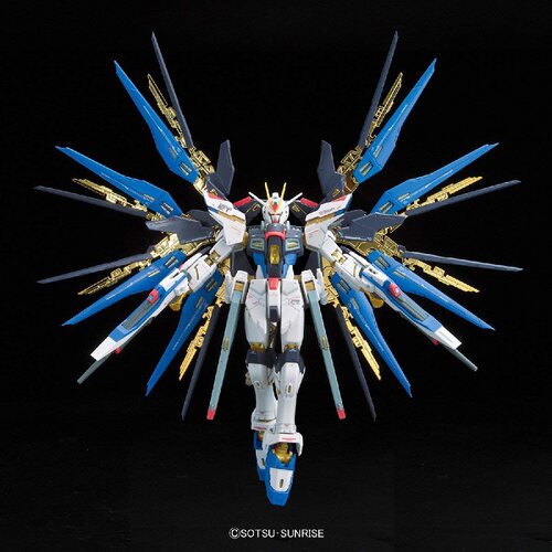 有货 正版 万代RG 1/144 强袭自由高达 ZGMF-X20A