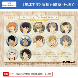 日本正版 排球少年 吃饭干饭开动了 闪徽章吧唧盲盒 周边谷子