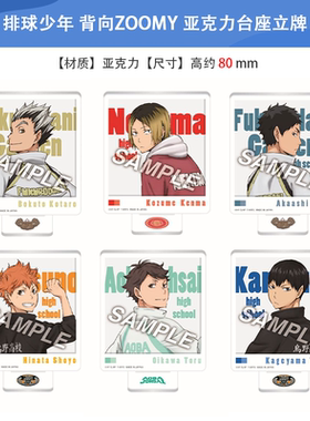 日本正版 排球少年 背向Z0OMY 亚克力台座立牌 周边谷子