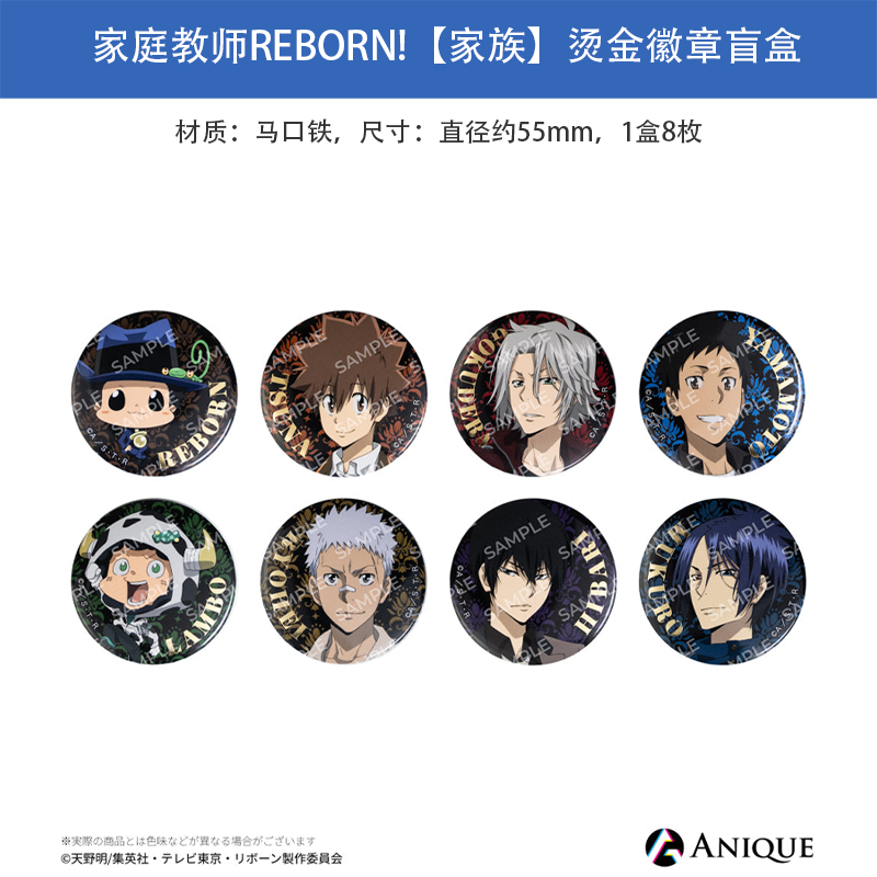 日本正版 家庭教师REBORN!家族 烫金吧唧徽章盲盒 周边谷子