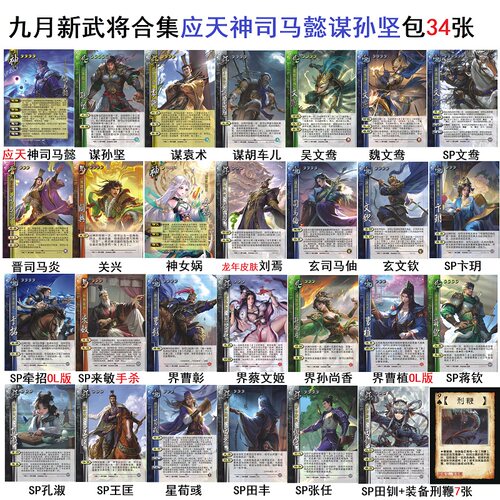 三国应天神司马懿谋孙坚杀司马炎关兴孔淑张任田丰卡牌