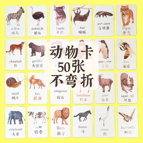 阿布巴布动物单词闪卡儿童认知