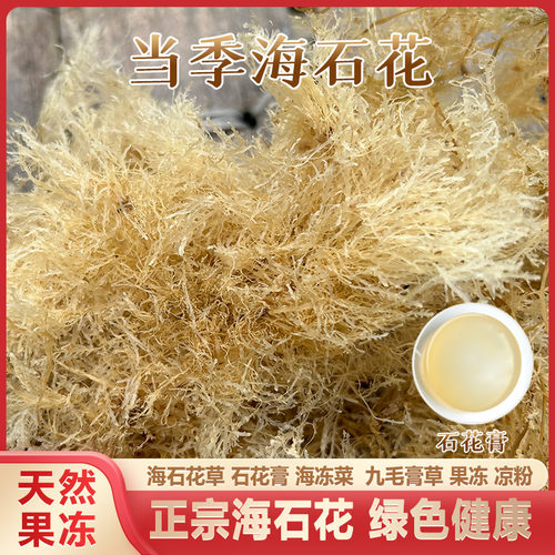 当季海石花草果冻海凉粉石花膏九毛膏草500g海冻菜四果汤干货特产