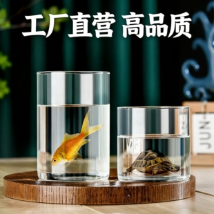 高硼硅玻璃花瓶微景观空瓶插花植物摆件富贵竹水培直筒罐微型鱼缸