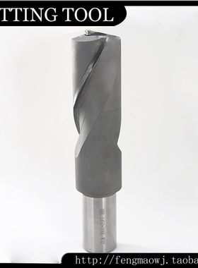 镶合金两刃螺旋铣刀 HHE 2450*200L-W32立铣刀