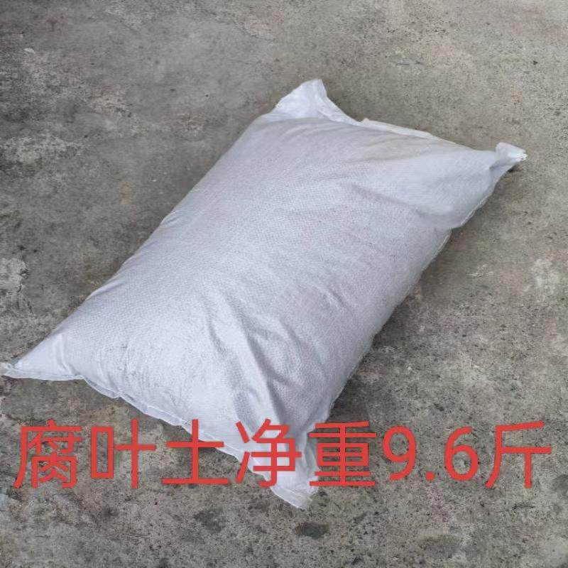 重庆腐叶土 枫叶腐叶土营养土养花专用土种植土