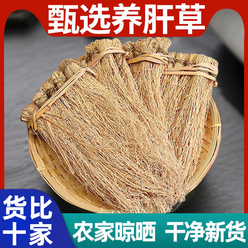 养肝草中药材龙须草根煲汤材料
