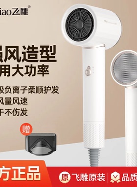 电吹风机家用发廊大风力负离子护发速干大功率风筒静音宿舍用学生
