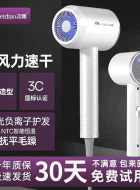 飞雕吹风机家用大功率负离子高速大风力发廊理发店电吹风筒负离子