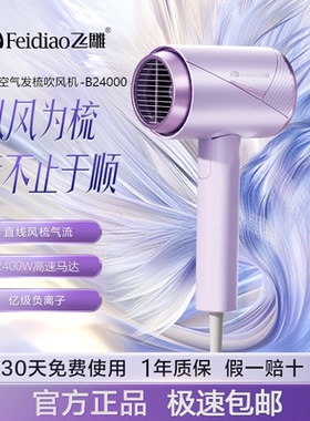 飞雕高速电吹风机家用负离子恒温大功率速干发廊专用吹风筒大风力