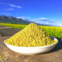 青海油菜花粉前列腺食用野生新鲜活性男士农家天然油莱蜂花粉500g