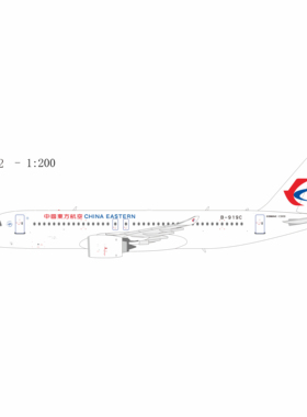 预售 NGMODEL 1:200  中国东方航空 C919 【99202/99203】