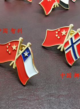 交叉挪威胸针友谊国旗徽章现货中