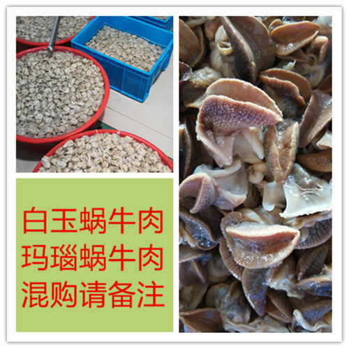 龟粮蜗牛活食动物性饲料高蛋白