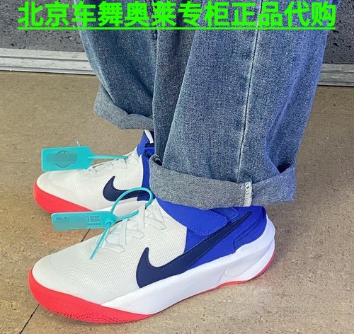 Nike耐克Team Hustle (GS)大童青少年实战篮球鞋 DD7303-103