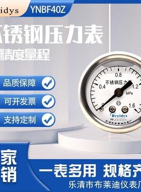 Breidys中文面板YNBF40Z轴向不锈钢耐震压力表油压液压气压水压