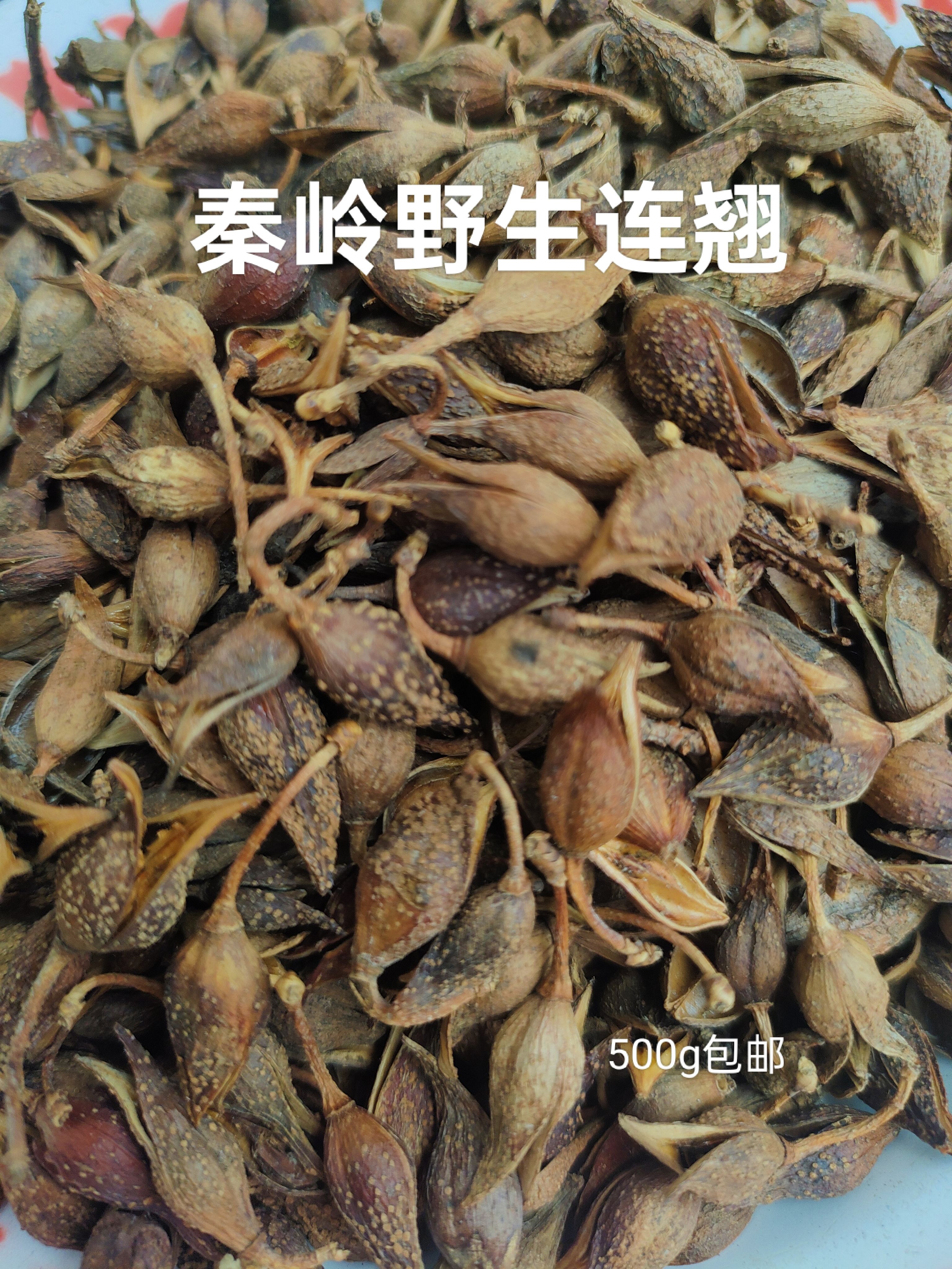 中药材正品无硫野生连翘原色原味当季采摘新品