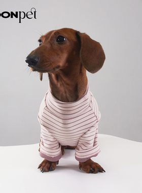 狗狗猫咪百搭韩系条纹加厚打底衫小狗泰迪比熊猫咪纯棉衣服